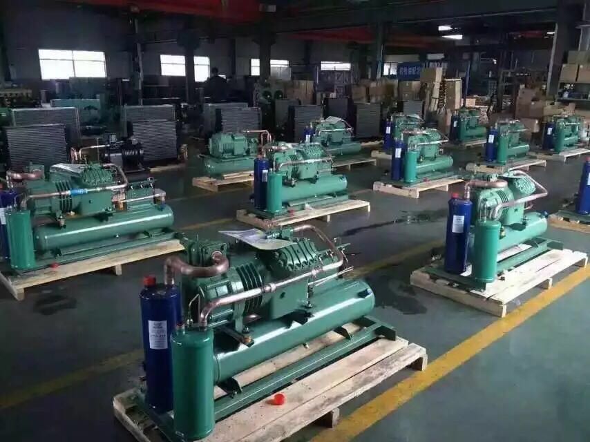 德国北京比泽尔