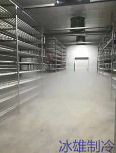 制冷设备：精准控温，赋能各行业高效生产与舒适体验